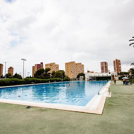 Great Panoramic View Studio Apartment Benidorm Exteriör bild