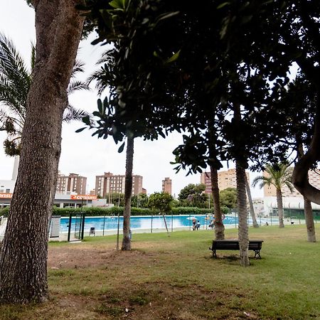 Great Panoramic View Studio Apartment Benidorm Exteriör bild